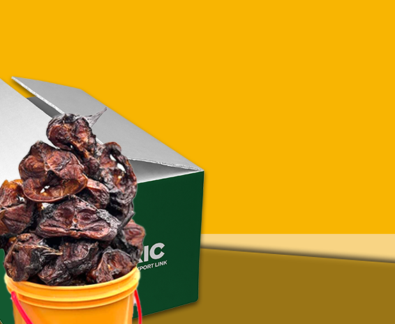 Dried Fish Dried Fish